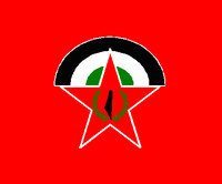 Fronte Democratico per la Liberazione della Palestina (DFLP), Fronte Popolare Democratico per la liberazione della Palestina(PDFLP)