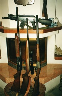 Armi in casa