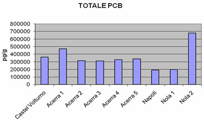 Contaminazione da PCB nel Triangolo della Morte