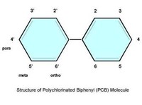 La molecola del PCB