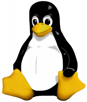 Il simbolo di Linux