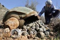 Il mondo lavora insieme per distruggere milioni di cluster bombs