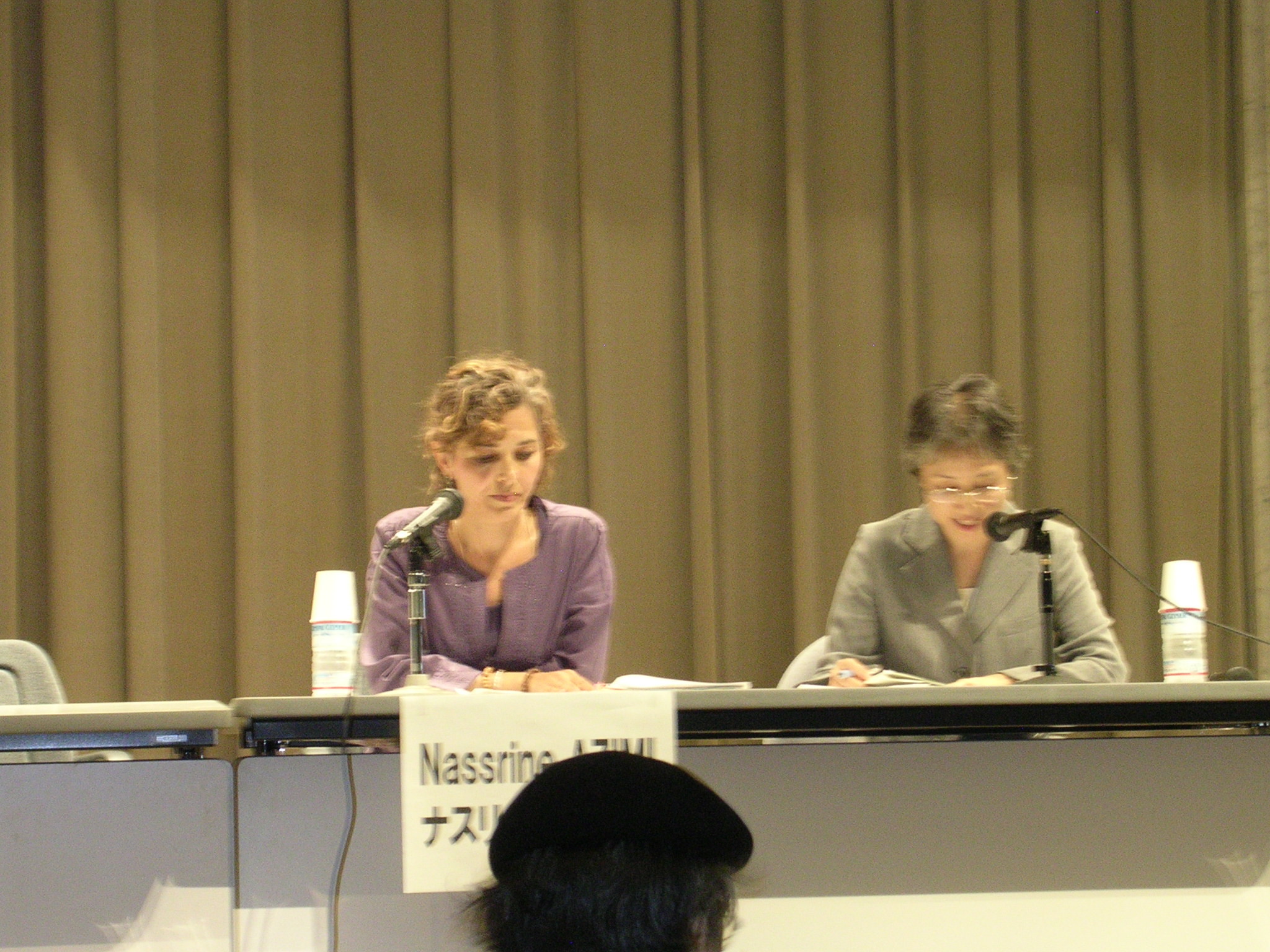 la terza e ultima giornata della III Conferenza ICBUW a Hiroshima intervento della rappresentanza Onu