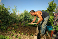 Spazi verdi per i pensionati: "Torniamo contadini come una volta"