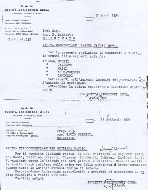 Documento S.A.G degli interventi effettuati da Sabbetta in qualità di fitopatologo (6° Eccidio di Chisimaio) 