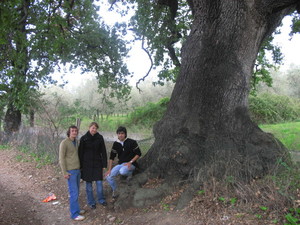 Alex, Clara e Gozalo volontari alla Casa 2007-2008