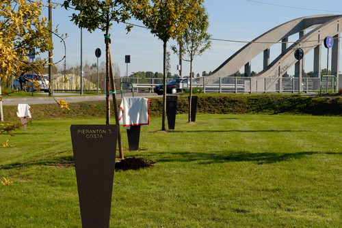 Padova,il Giardino dei Giusti.Domenica 18 ottobre 2009 dieci nuove steli e dieci nuovi alberi sono stati piantati