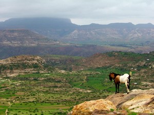 Altipiani Etiopi con il monte Ras Dascian sullo sfondo.