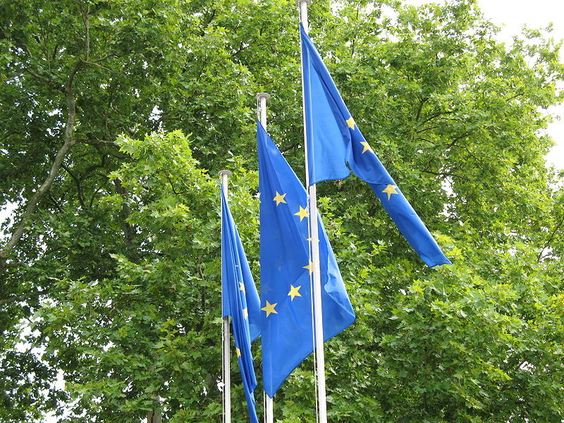 European flags in front of the Council of Europe, Strasbourg