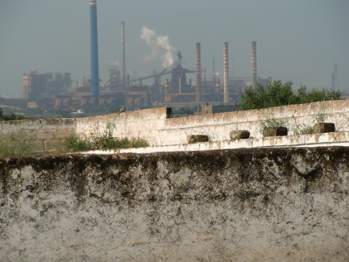 Il caso Taranto presenta aspetti analoghi e per certi aspetti ancora  più gravi, connessi ad un inquinamento cronico legato alle attività  industriali
