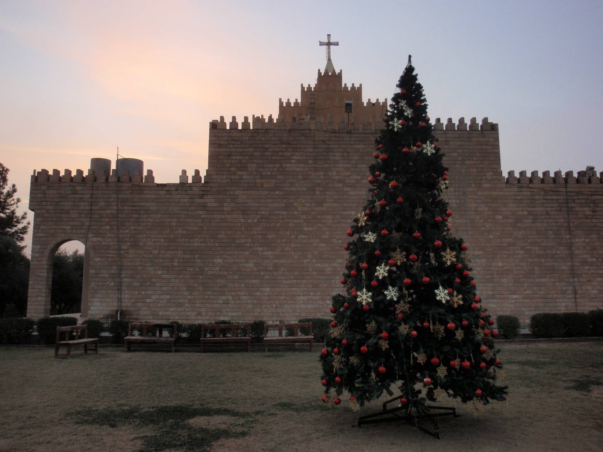 L'albero di Natale nel cortile della diocesi