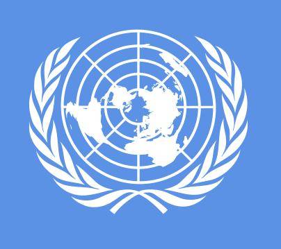 La bandiera dell'ONU