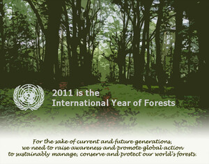 L'ONU ha proclamato il 2011 "Anno internazionale delle foreste", vita e ricchezza del pianeta e dei popoli. Aiutiamo chi le difende. 