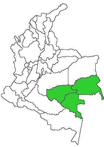 Colombia, le regioni in verde sono abitate da piccole tribù come i  Nukak Maku, i Guayaberos, che abitano i villaggi del Guaviare, ormai ad alto rischio di estinzione. 