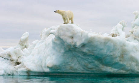 Allarme inquinamento nell'Artico