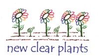 New Clear Plants