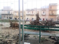 Alberi tagliati a piazza Lo Jucco il 30 maggio 2012