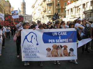 Comitati e vari gruppi di cittadini sono a Roma per manifestare. Da Valenzano (BA) contro la vivisezione
