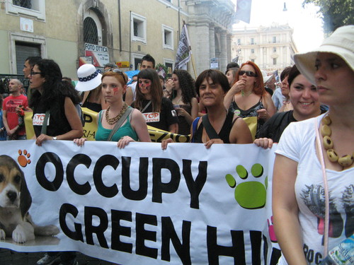 Un movimento internazionale che dice no alla vivisezione e agli allevamenti come Green Hill