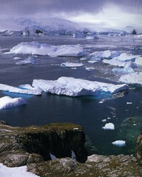 Biopirateria in Antartide