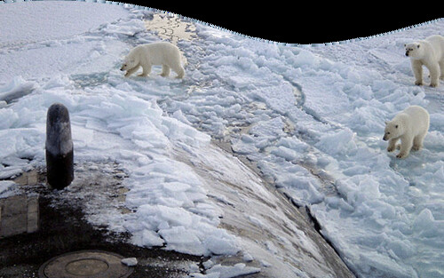 Greenpeace alla comunità internazionale: "l'Artico è in pericolo soprattutto per le trivellazioni petrolifere". Firmiamo per salvare il pianeta (giornata in bici il 15 settembre a Roma, Milano, Bari, Catania, Napoli, Verona)