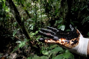 L'inquinamento lascia ancora le sue tracce nella giungla e nelle province di Sucumbios e Orellana / Foto: Andes