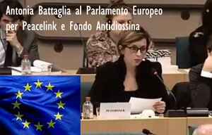 Procedura di infrazione europea per l'ILVA di Taranto. PeaceLink e Fondo Antidiossina al Parlamento Europeo