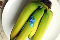 Rainforest Alliance ritira certificazione all'impresa bananera “Las Tres Hermanas” in Honduras