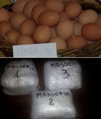 Analisi su uova di Martina Franca (Taranto)