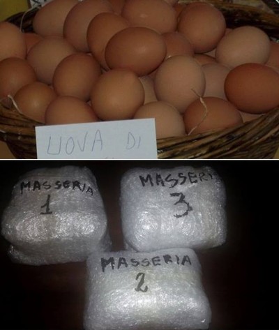 campioni di uova analizzate 