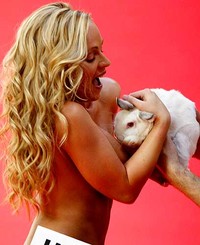 La modella australiana Imogen Bailey prende un coniglio in braccio durante uno spot per la campagna sul trattamento etico degli animali (Mark Baker/Ap)