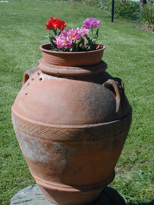 Antica terracotta di Impruneta,nel giardino pensile della Casa per la Pace