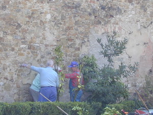 Amici volontari di Trento e Bolzano - Cura del Giardino