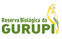 Brasile: nella Riserva Biológica do Gurupi spadroneggiano i madereiros