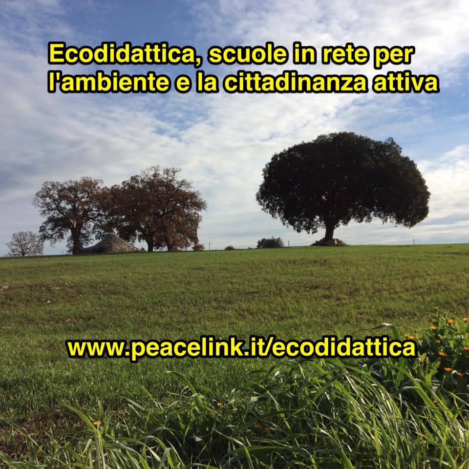 Il logo del progetto Ecodidattica