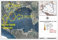 L'inquinamento del Mar Piccolo a Taranto