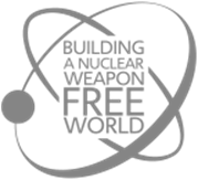 International Conference: Building a nuclear-weapon-free world
