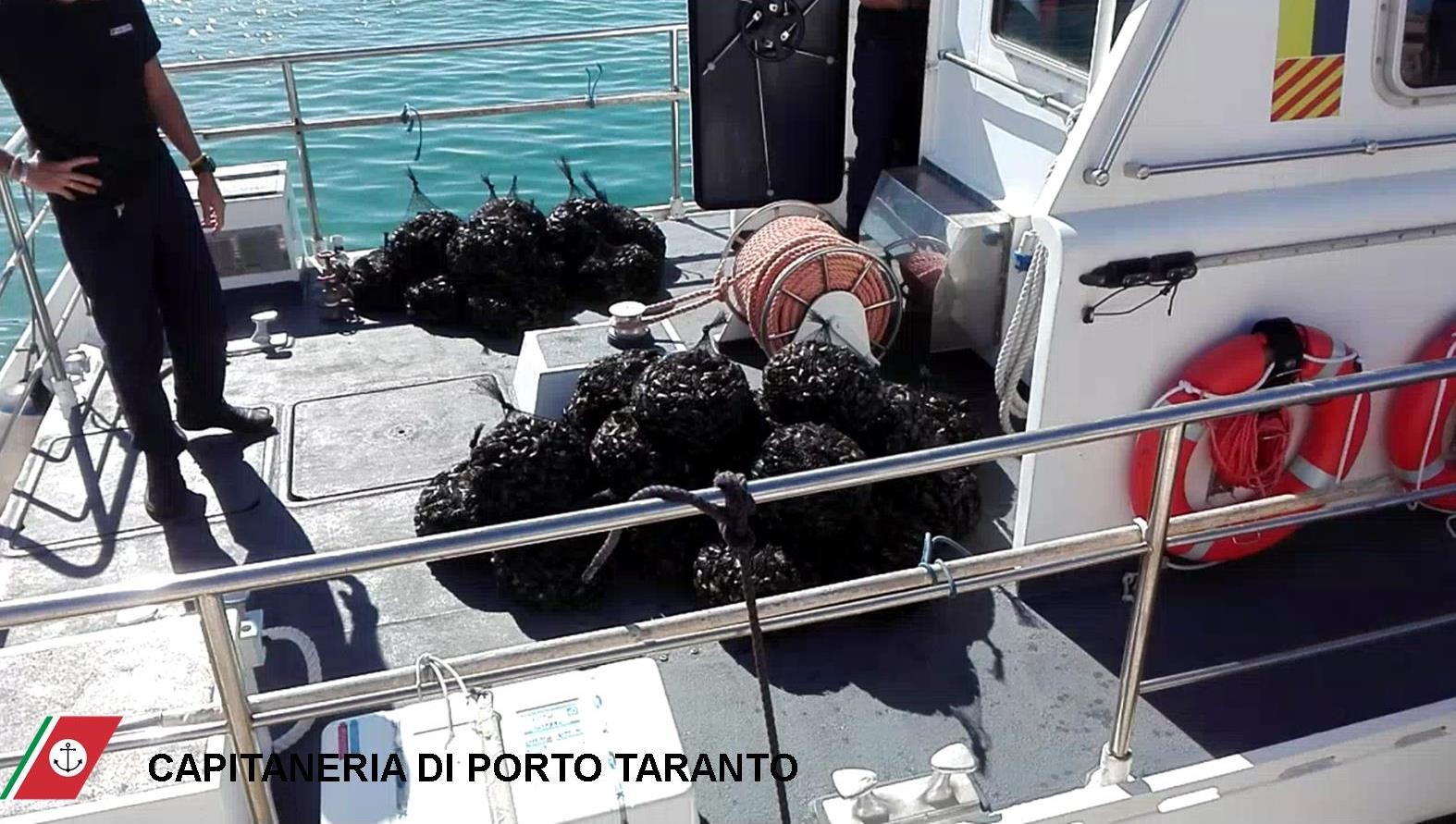 Cozze del primo seno del Mar Piccolo di Taranto sequestrate a settembre 2017