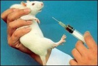 L'ingegneria genetica riduce i test sugli animali