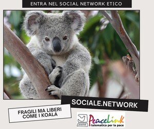 Sociale.network è la piattaforma etica e senza pubblicità su cui stiamo portando associazioni, cittadini, iniziative e campagne per la pace, la solidarietà e l'ecologia. Abbiamo scelto il koala come simbolo di ciò che vogliamo tutelare: la biodiversità, la libertà e la fragilità.