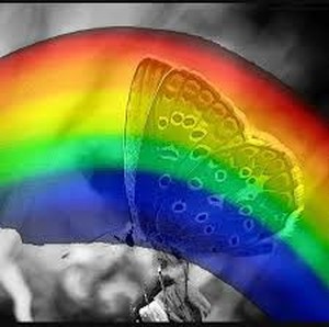 La farfalla arcobaleno...