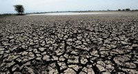 Desertificazione e cambiamenti climatici