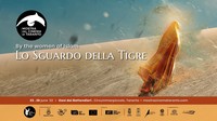 Mostra del Cinema di Taranto dal tema «Lo sguardo della tigre»