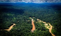 I minatori stanno devastando il territorio Yanomami territory in Amazzonia. Fotografia: Valentina Ricardo