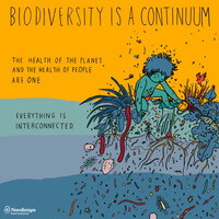 Biodiversity is a continuum © Navdanya International 2022 Illustration Sara Filippi Plotegher for Navdanya International