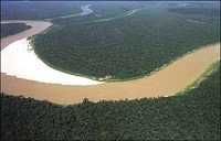 La soia minaccia l'Amazzonia
