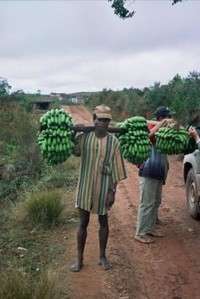 il venditore di banane