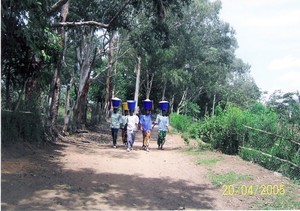 Quattro donne portano dei secchi colmi di farina di manioca al mercato