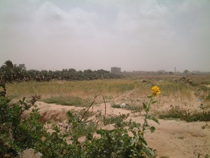 Rafah. Il confine con l'Egitto