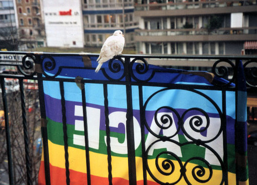 Appendo la mia bandiera al mio balcone, e poco dopo una colomba ci si  accoccola sopra...e vi assicuro che a Ginevra le colombe non abbondano! Un  caro saluto. Aleida